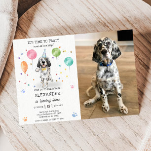Engelskt Setter Pawty Hund Puppy Birthday Blue Pho Inbjudningar