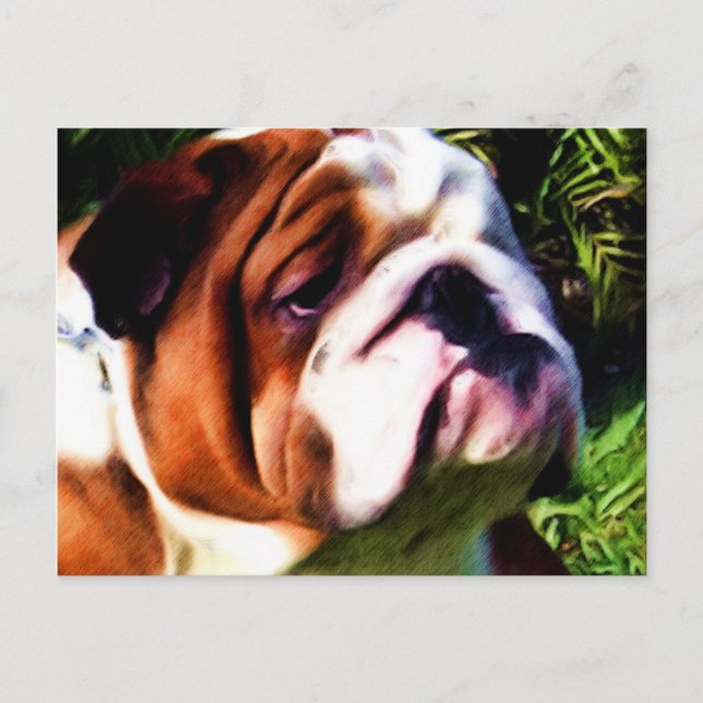 Engelskt vykort för bulldog (Framsida)
