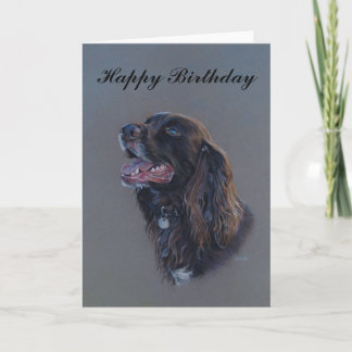 Engish Cocker Spain hund. Grattis på födelsedagen Kort