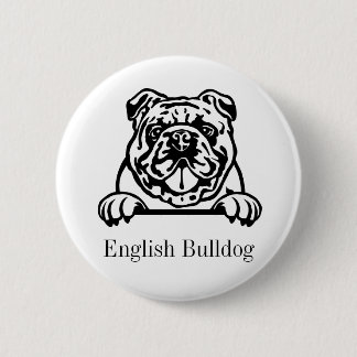 Engjsk bulldog knapp