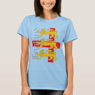 England 2010 t-shirt