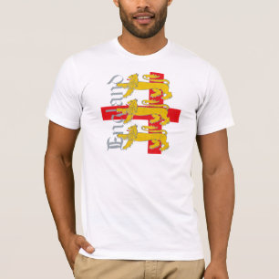England 2010 t shirt