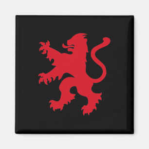England Fotbollströja England Fotbollslag Lejon Magnet