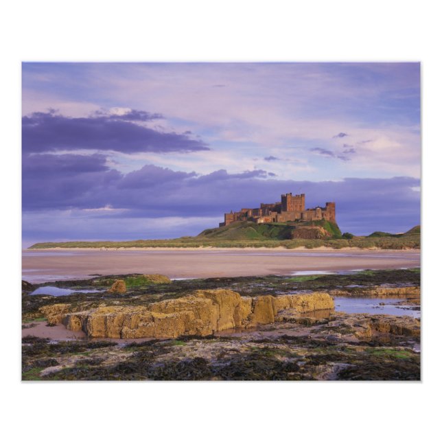 England, Northumberland, Bamburgh slott Fototryck (Framsidan)