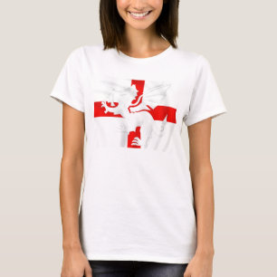 ENGLAND PRIDE TEE SHIRT