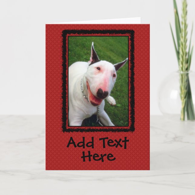 English Bull Terrier Custom Greeting Card Kort (Framsida)