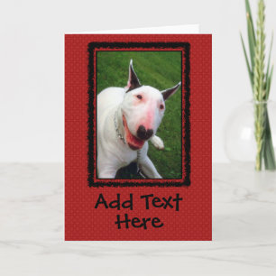 English Bull Terrier Custom Greeting Card Kort