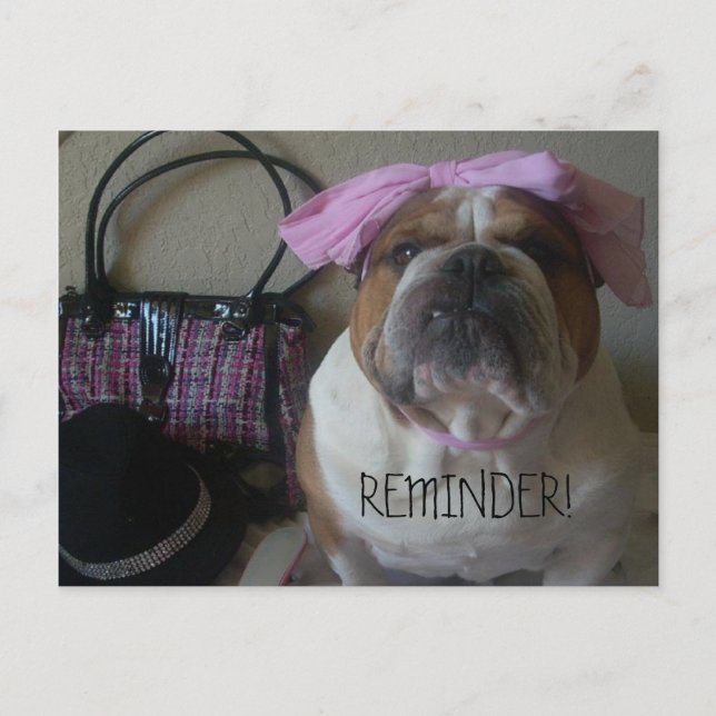 ENGLISH BULLDOG POSTCARD REMINDER VYKORT (Framsida)