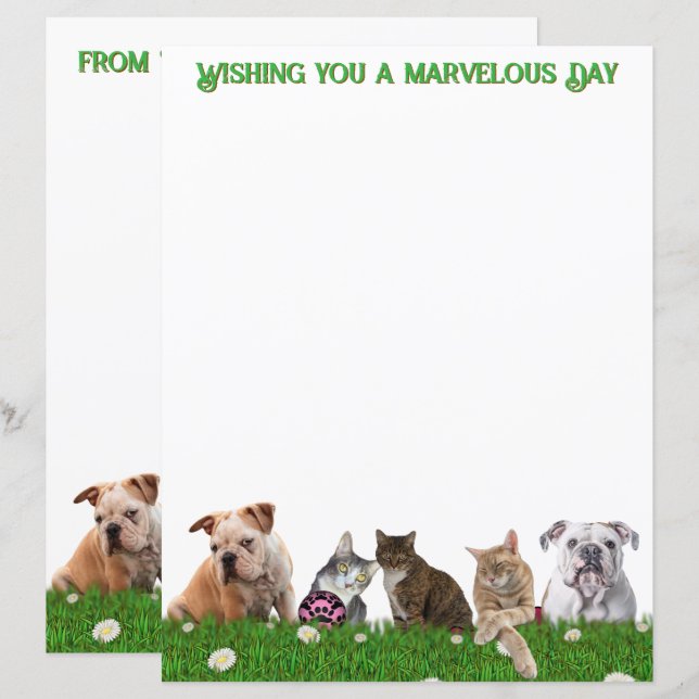 English Bulldogs and Cats Stationery (Fram/baksida)