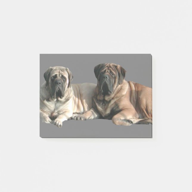 English Mastiff Freunde Post-it Block (Framsida)