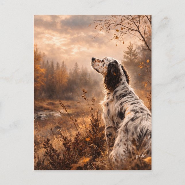 English Setter Vykort (Framsida)