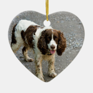 English spaniel fullt.png julgransprydnad keramik