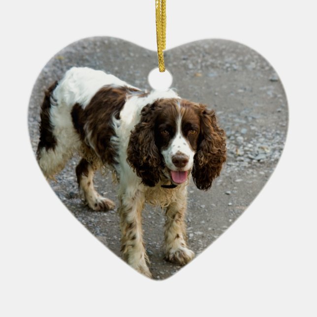 English spaniel fullt.png julgransprydnad keramik (Framsidan)
