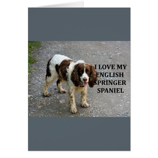 English spaniel lw kärlek w picc hälsningskort (Framsidan)