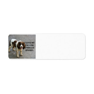 English spaniel lw kärlek w picc returadress etikett