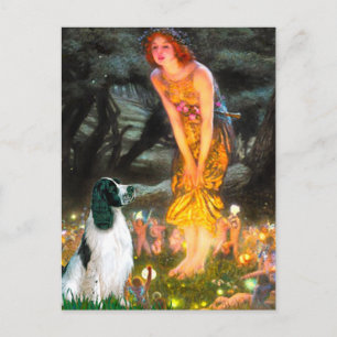 English Springer 7 - Midsommar Vykort