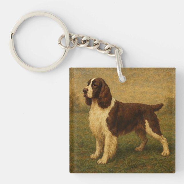 English Springer Spaniel (Framsidan)