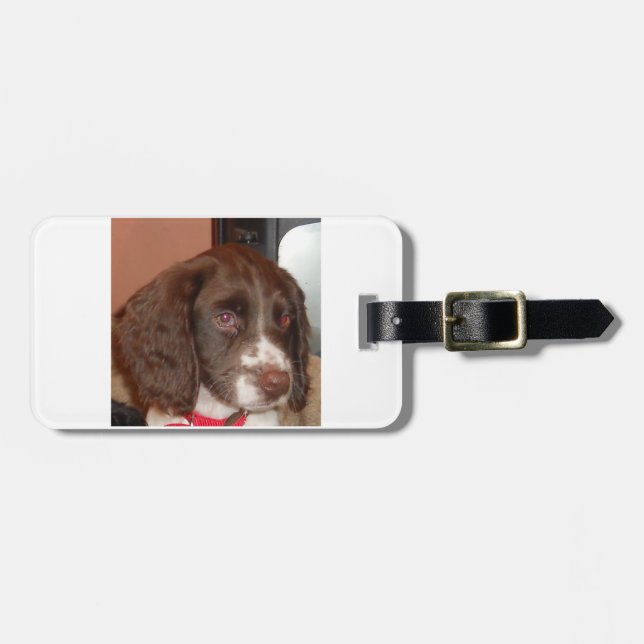 English_Springer_Spaniel lwvalp Bagagebricka (Horisontell Framsida)