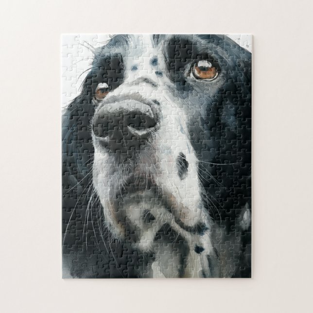 English springer spaniel portrait with ticking pussel (Vertikal)