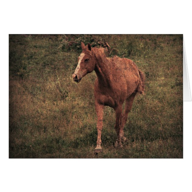 Enhet Hälsningskort (Framsidan Horizontal)