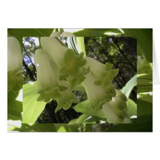 enhet i balans hälsningskort