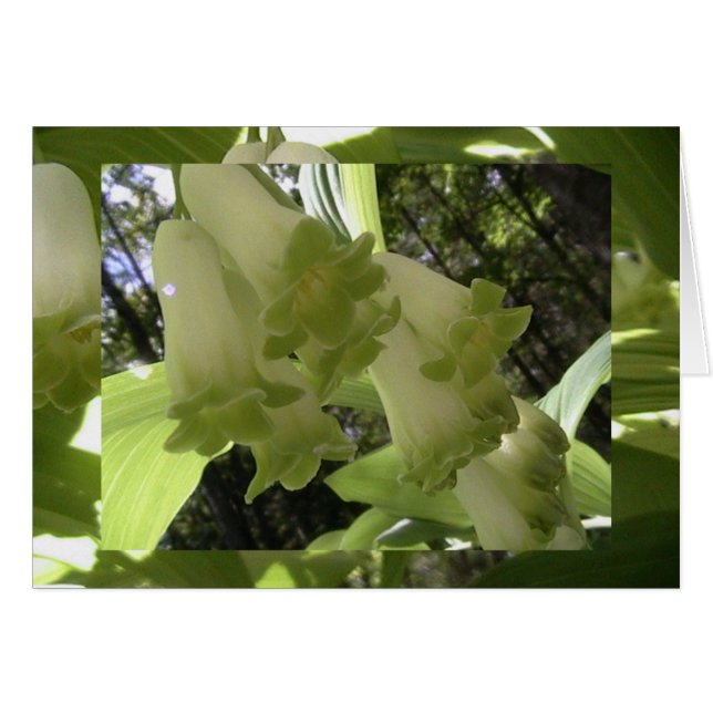 enhet i balans hälsningskort (Framsidan Horizontal)