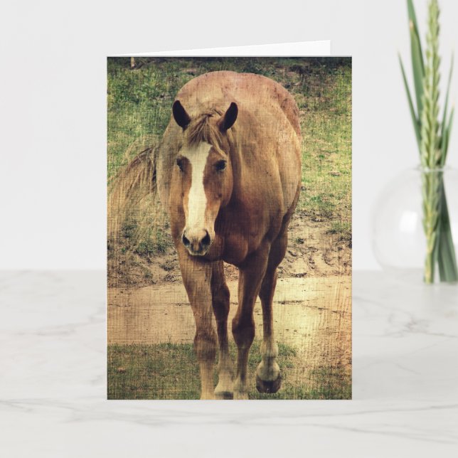 Enhet Kort (Framsida)