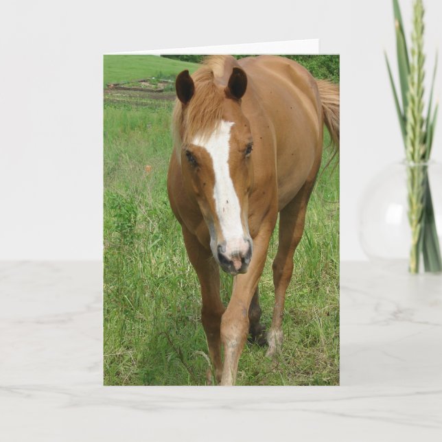 Enhet Kort (Framsida)