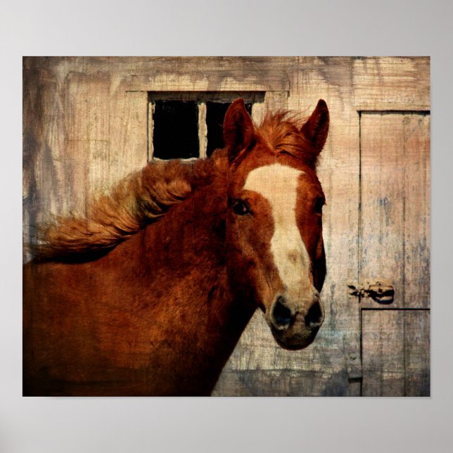 Enhet Poster (Framsidan)