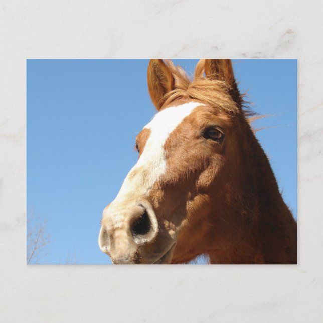 Enhet Vykort (Framsida)