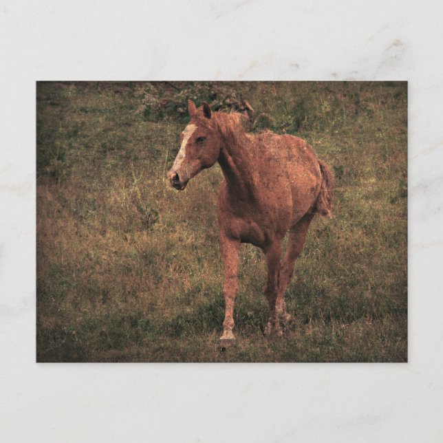 Enhet Vykort (Framsida)