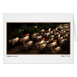 Enheten hem, Mexiko Hälsningskort