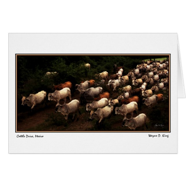 Enheten hem, Mexiko Hälsningskort (Framsidan Horizontal)