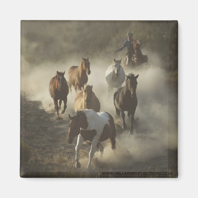 Enhetsmagnet Magnet (Framsidan)