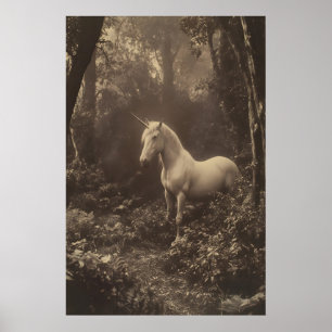 Enhörning i Skog Fotografisktryck Mörk Akademi Poster