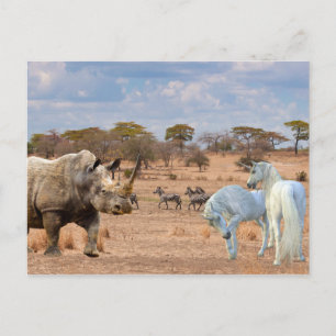 Enhörnings Kubb Noshörning Noshörning Afrika Vykort
