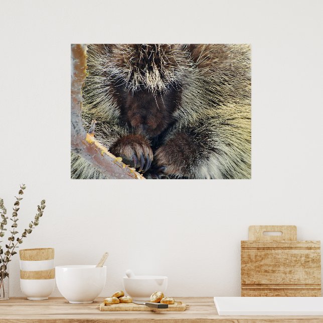 Enigma of Nature Poster (Kök)