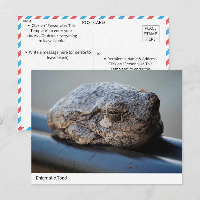 Enigmatic Toad-vykort Vykort (Fram/baksida)