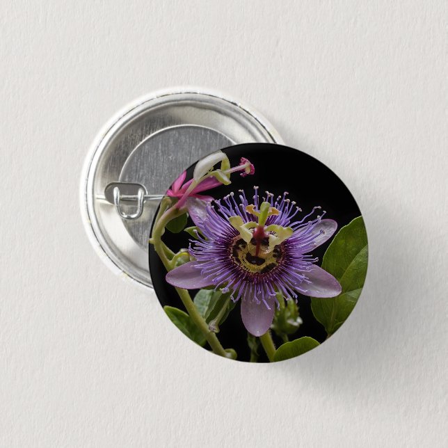 Enigmatisk skönhet: den Lila passionens blomma Knapp (Framsida & baksida)