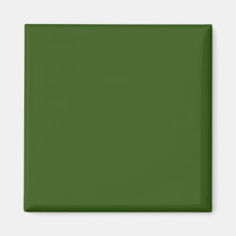 Enkel auktoritet® magneter