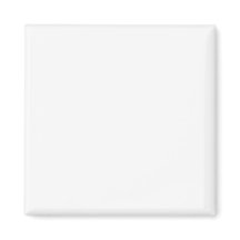 Enkel auktoritet® magneter