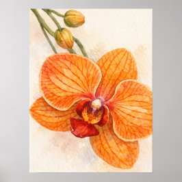 Enkel blomster fjärils orkidé botanisk poster