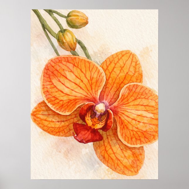 Enkel blomster fjärils orkidé botanisk poster (Framsidan)