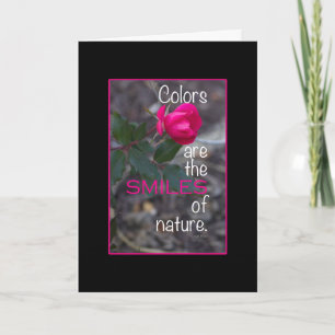 Enkel Böjd Rosa Ros Foto Svart Kant Anpassad Kort