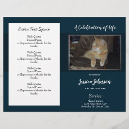 Enkel budget för det allmänna programmet