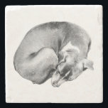 Enkel cirkel stenunderlägg<br><div class="desc">Skydda bord med en design som utstrålar bekvämlighet. Den här böjda hund, som är mjukt inläst, tillför värme och charm till varje sipp och inställning.</div>