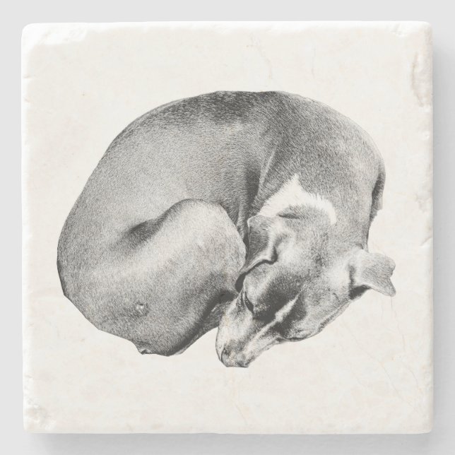 Enkel cirkel stenunderlägg (Framsidan)