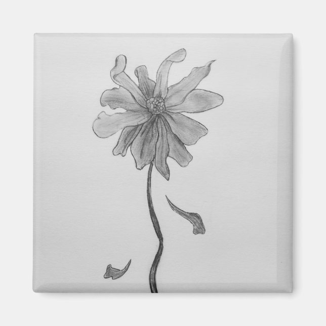 Enkel Daisy Magnet (Framsidan)