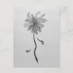 Enkel Daisy Vykort