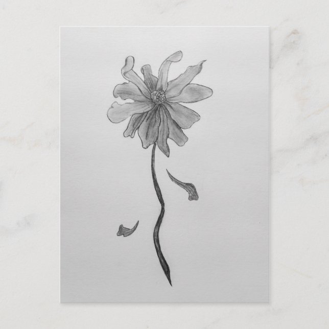Enkel Daisy Vykort (Framsida)
